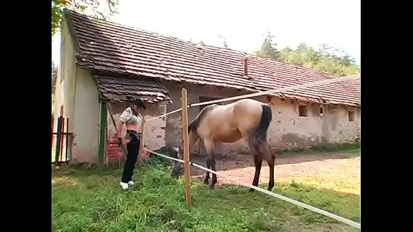 Лучшие Горячая самка-доминанта т. раб клипы Видео