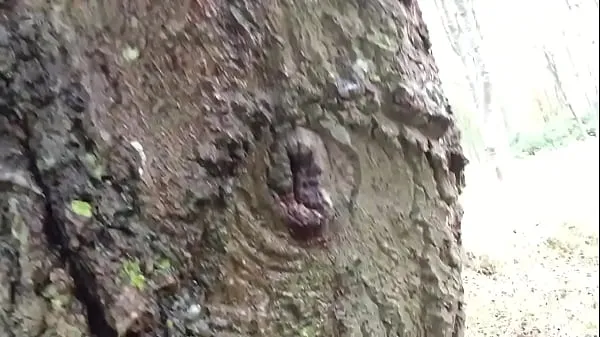 Melhores Pissing up a tree clipes de vídeos