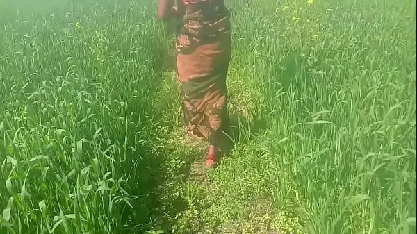 Best Wheat Field Rubbing Ke Chod Dehati Video clips Videos
