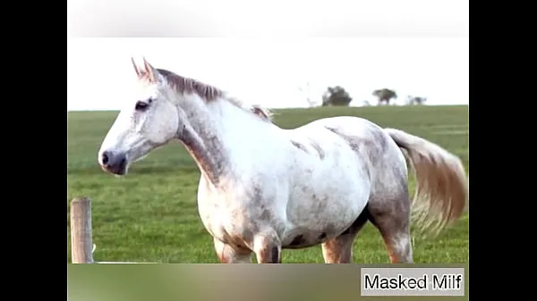 Horny Milf takes giant horse cock dildo compilation | Masked Milf Video klip terbaik
