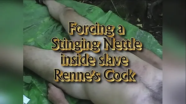 أفضل Sticking a stinging nettle in slave Renne's urethra مقاطع فيديو